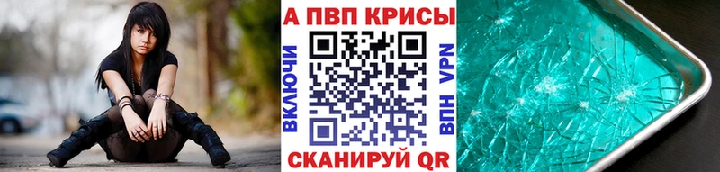 Alfa_PVP СК  Каргополь 