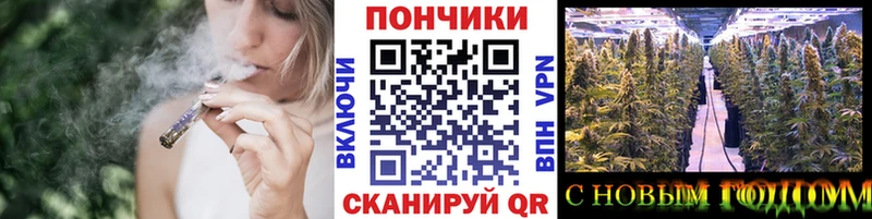 Шишки марихуана конопля  blacksprut сайт  Каргополь 